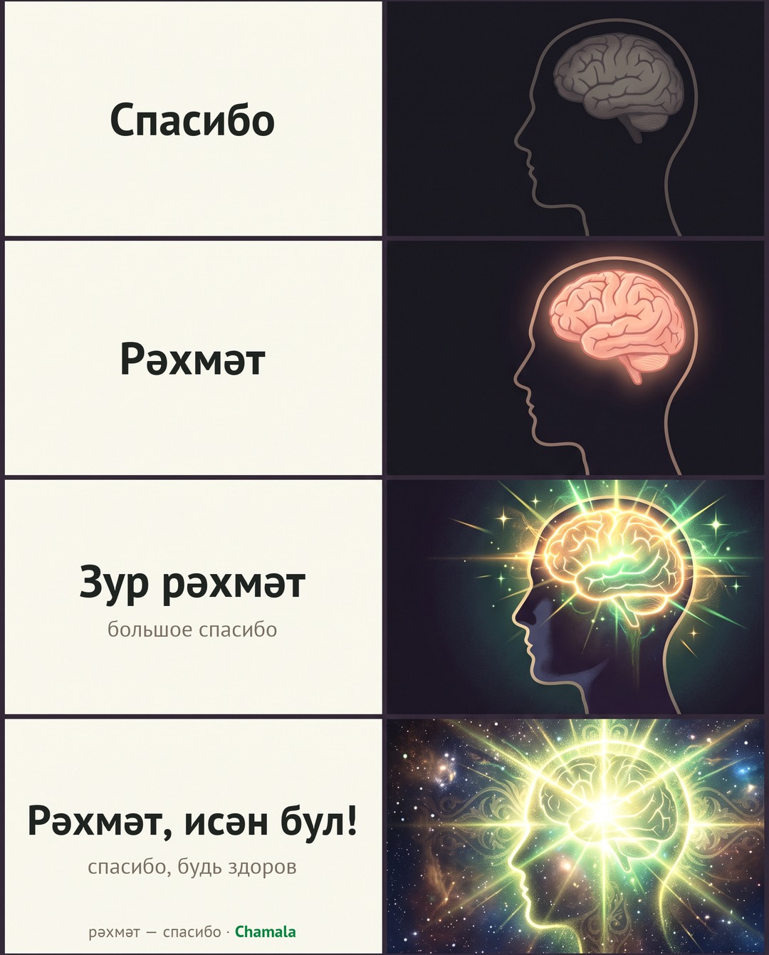 Мем с растущим мозгом: «Спасибо», «Рәхмәт», «Зур рәхмәт» — «большое спасибо», «Рәхмәт, исән бул!» — «спасибо, будь здоров».