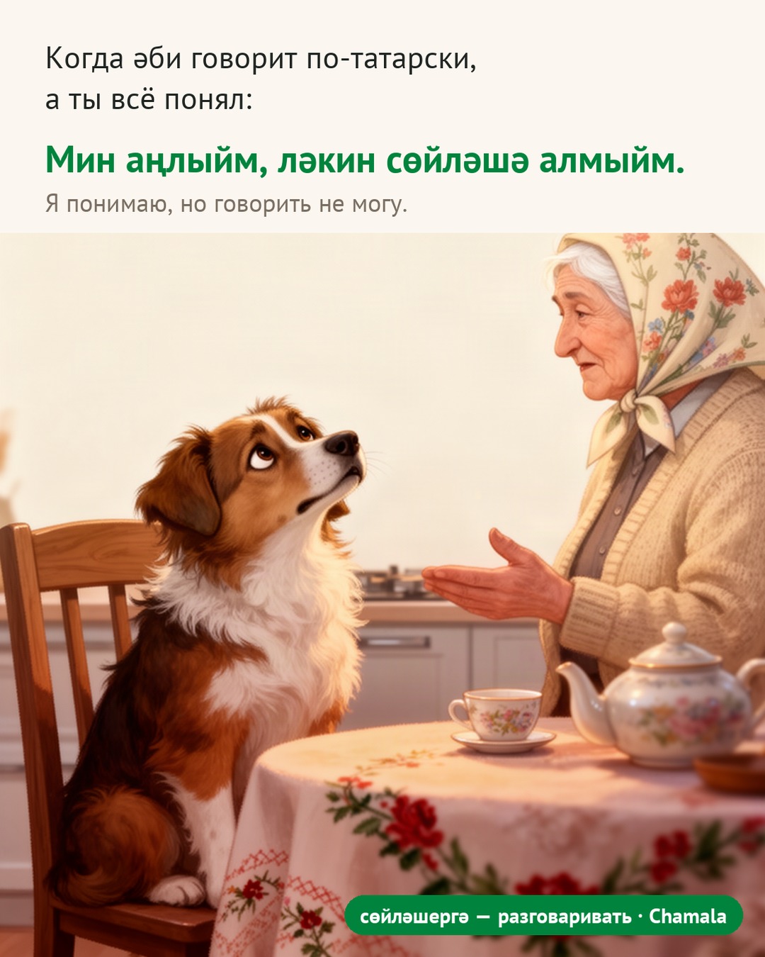 Мем: собака внимательно слушает бабушку, говорящую по-татарски. Подпись: «Мин аңлыйм, ләкин сөйләшә алмыйм» — «Я понимаю, но говорить не могу».
